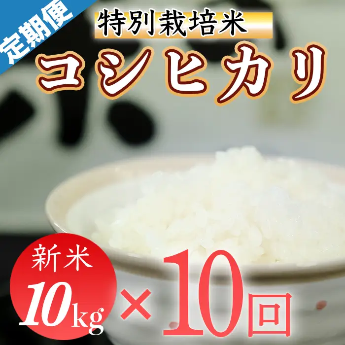 令和8年産（精白米）特別栽培米こしひかり10kg×10袋