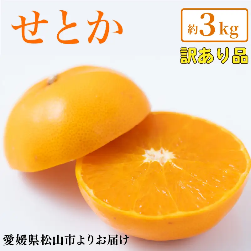 【2027年2月上旬頃から順次発送】 せとか 訳あり 約3kg みかん 田中農園 【TNN017】