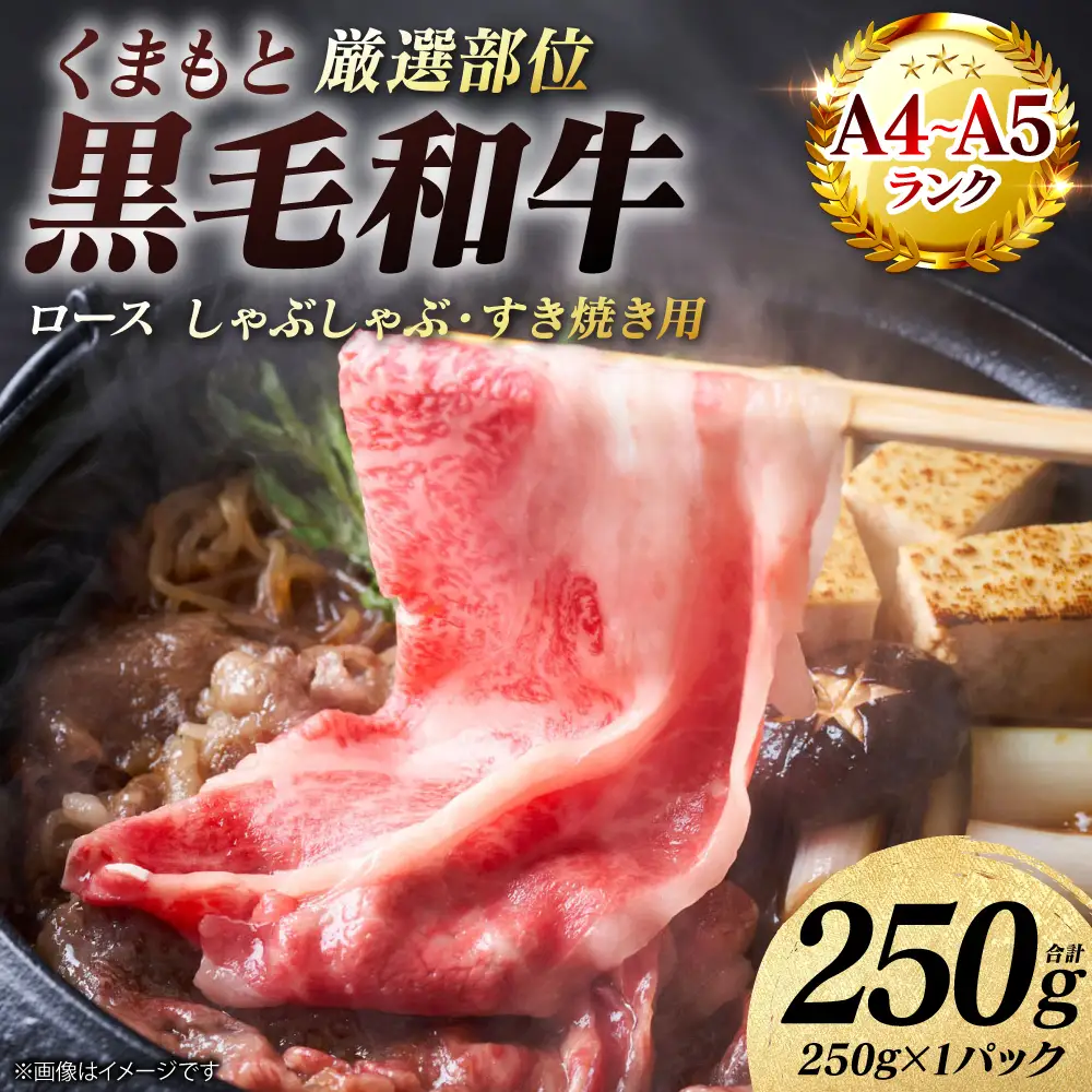牛肉 くまもと黒毛和牛 ロース しゃぶしゃぶ すき焼き用 250g （250g×1パック）A4～A5ランク 厳選部位 牛肉