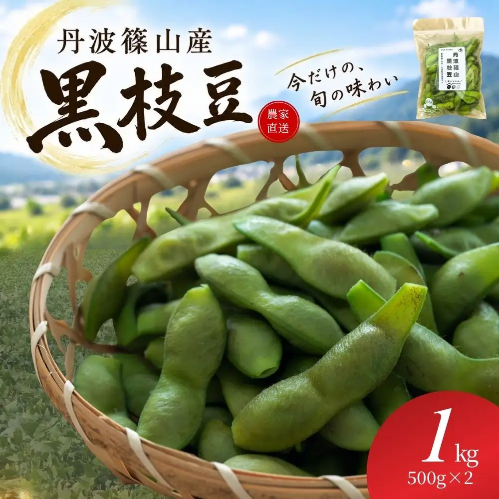 丹波篠山産黒枝豆 1kg（500g×2袋） [ONB007]