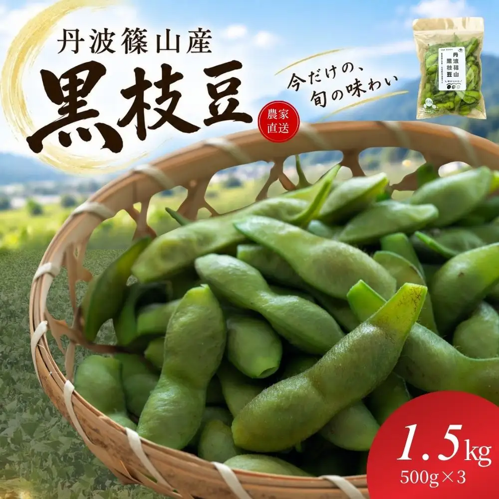 丹波篠山産黒枝豆 1.5kg（500g×3袋） [ONB009]
