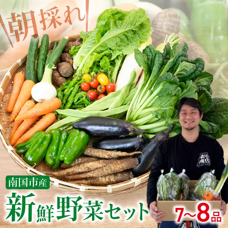 朝採れ新鮮！ 野菜セット(7～8品) | 野菜 セット