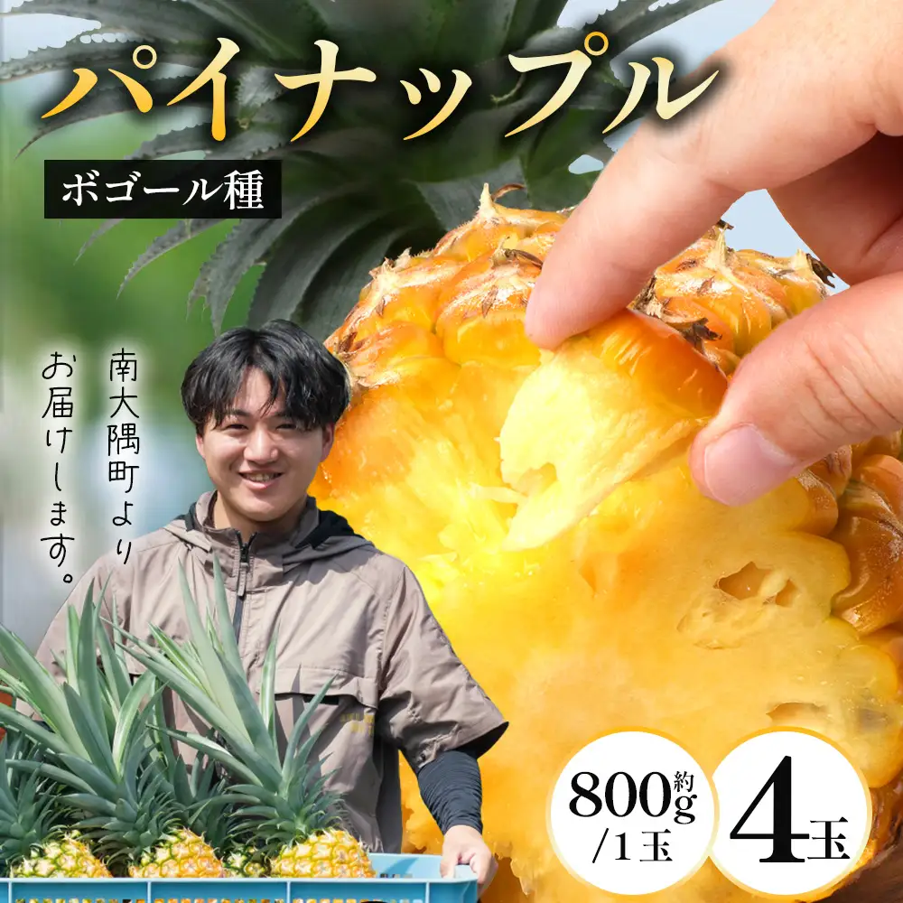 【2027年先行予約・数量限定】パイナップル/ボゴール種 (約800g×4玉) DS-4｜パイン パイナップル パインアップル フルーツ ボゴールパイン スナックパイン 産地直送 送料無料 鹿児島県 南大隅町 株式会社デラセーラ