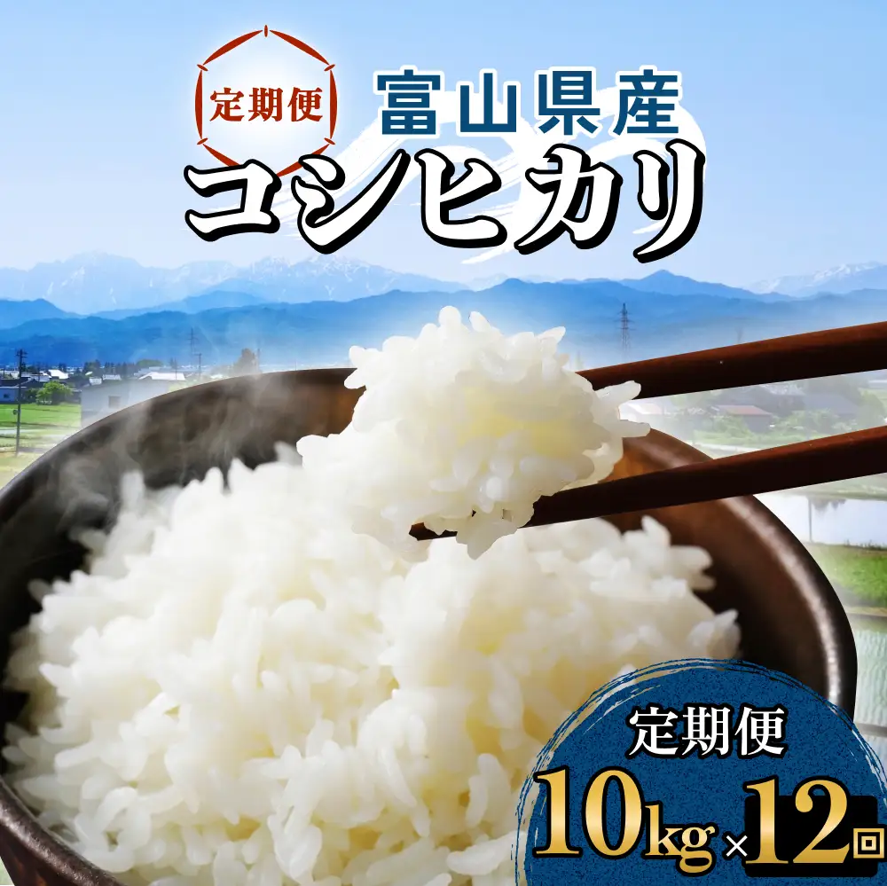 【12回定期便】富山県産 コシヒカリ 10kg 富山県 氷見市 米 コシヒカリ 定期便