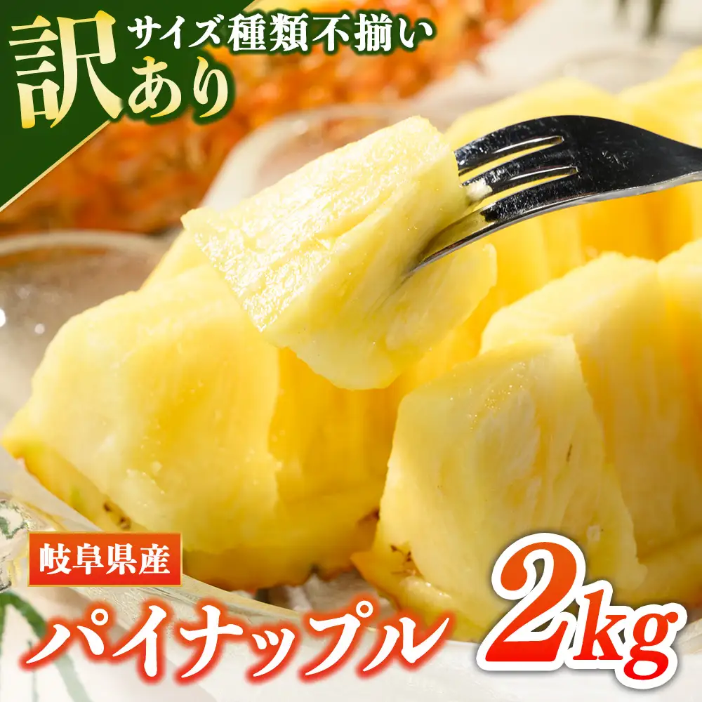【先行予約】【訳あり】岐阜県瑞穂市のオジイ パイナップル 2kg | パイナップル パイン フルーツ 果物 果実 完熟 ジューシー デザート 訳あり 人気 岐阜 瑞穂市 産地直送 送料無料 ※2027年7月～発送