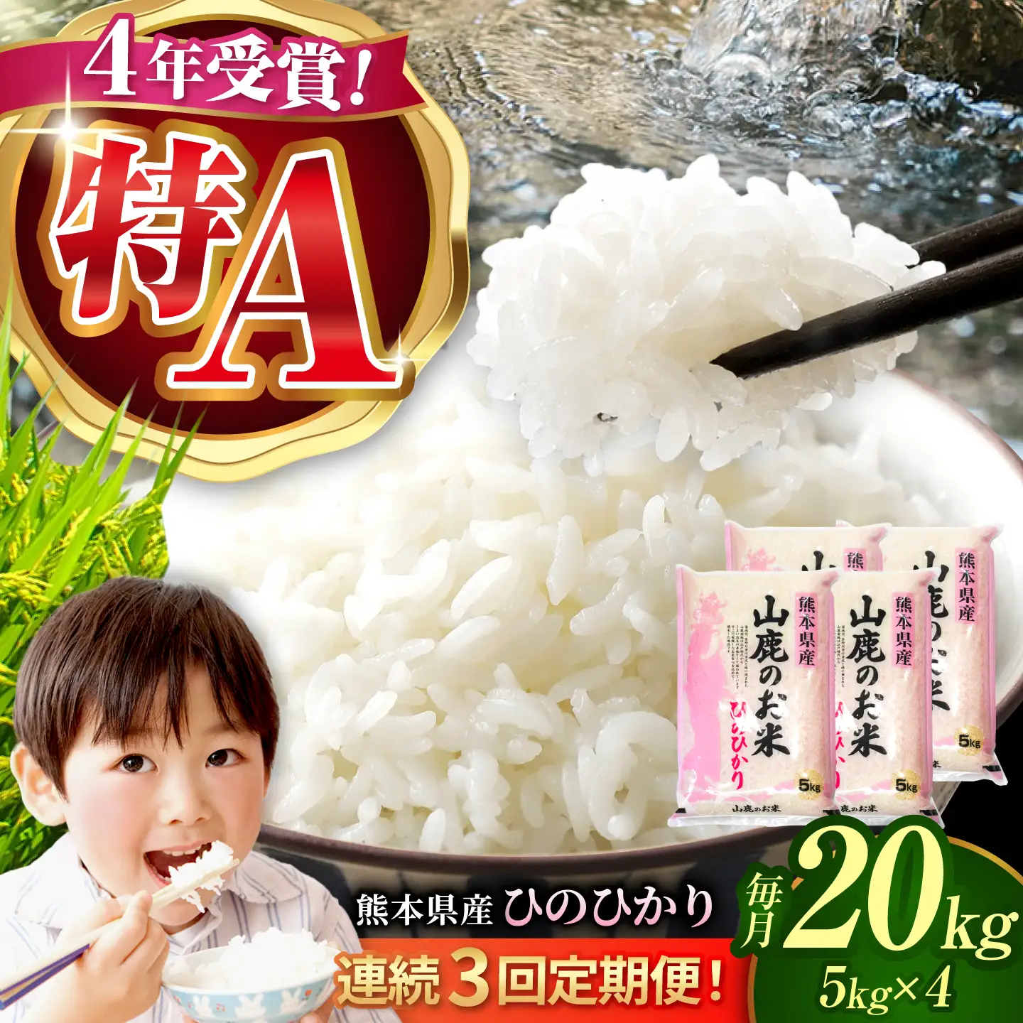 〈令和8年度産米〉 【3回定期便】山鹿のお米 ヒノヒカリ 5kg×4【有限会社 あそしな米穀】[ZBI041]