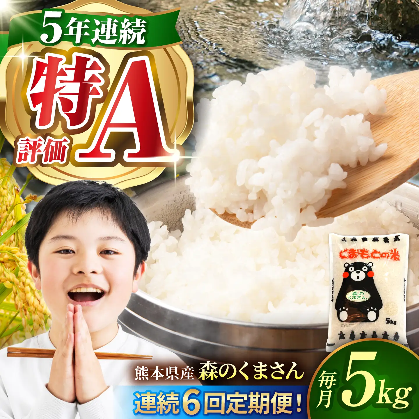 〈令和8年度産米〉【6回定期便】熊本県産 森のくまさん 白米 5kg 米 お米 ご飯 こめ【有限会社 あそしな米穀】[ZBI043]