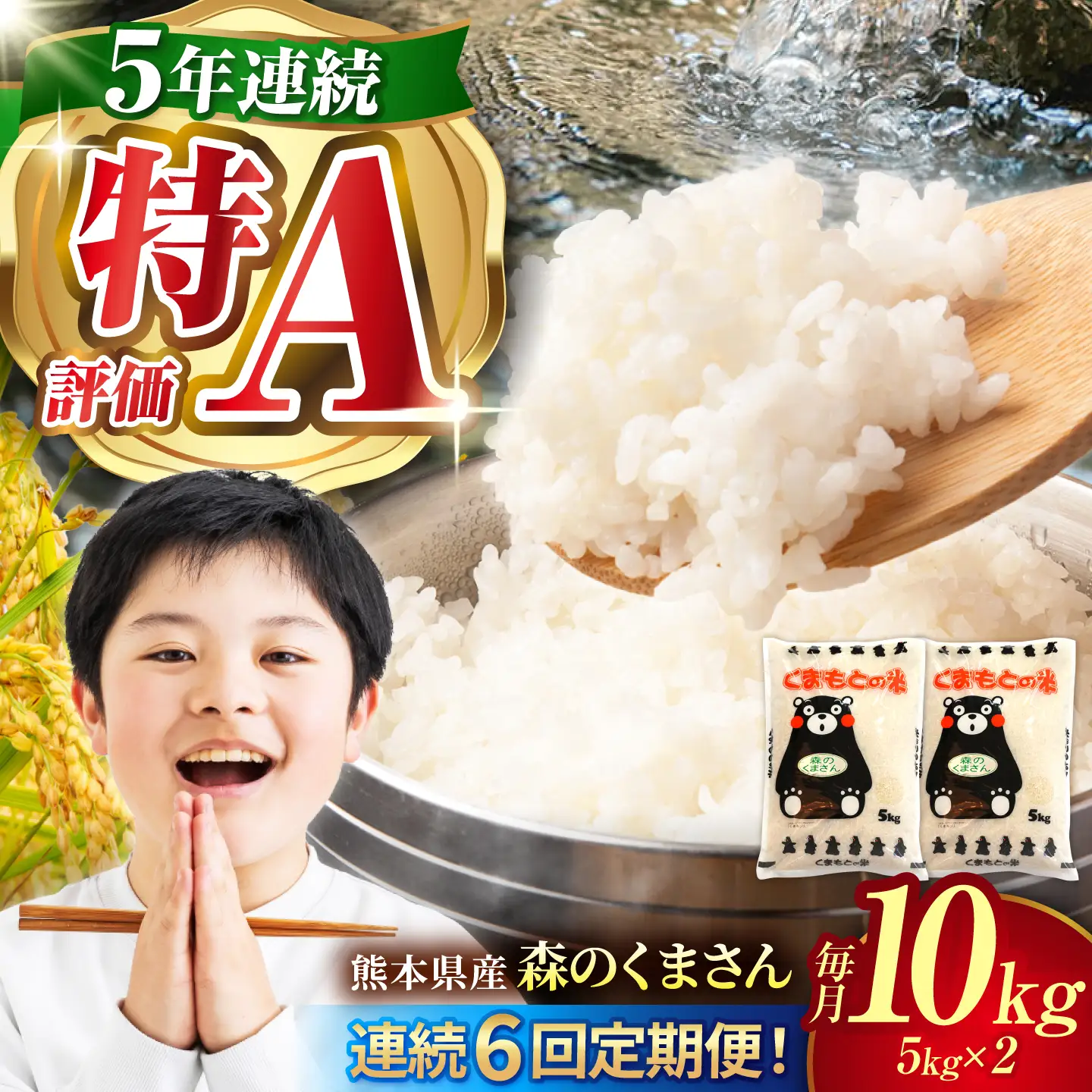 〈令和8年度産米〉【6回定期便】熊本県産 森のくまさん 白米 10kg (5kg×2) 米 お米 ご飯 こめ【有限会社 あそしな米穀】[ZBI044]