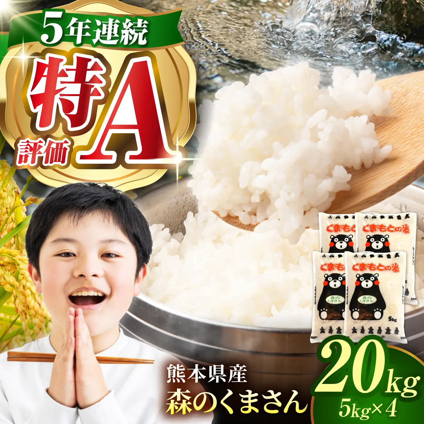 【新米先行予約】〈令和8年度産米〉熊本県産 森のくまさん 白米 20kg (5kg×4) 米 お米 ご飯 こめ【有限会社 あそしな米穀】[ZBI045]