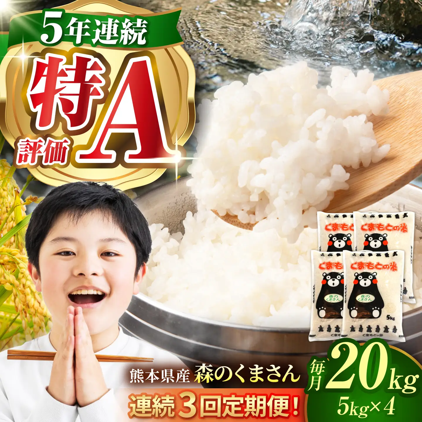〈令和8年度産米〉【3回定期便】熊本県産 森のくまさん 白米 20kg (5kg×4) 米 お米 ご飯 こめ【有限会社 あそしな米穀】[ZBI046]