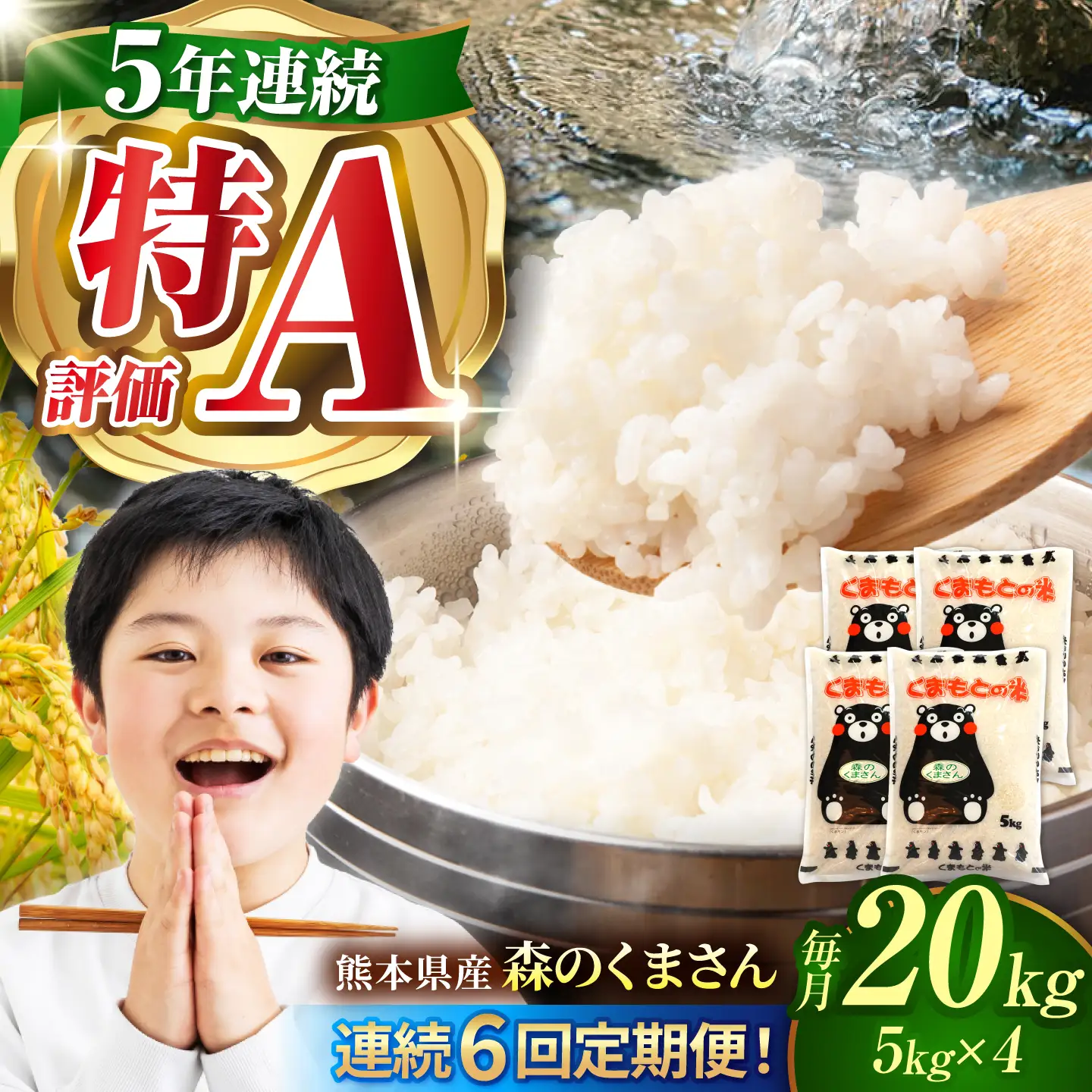 〈令和8年度産米〉【6回定期便】熊本県産 森のくまさん 白米 20kg (5kg×4) 米 お米 ご飯 こめ【有限会社 あそしな米穀】[ZBI047]