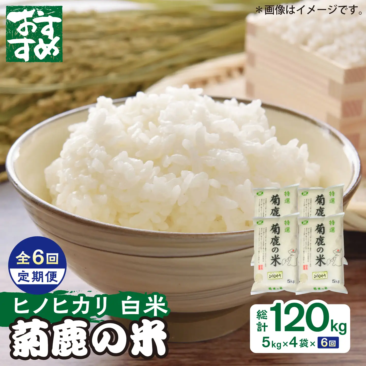 〈令和8年度産米〉【6回定期便】菊鹿の米 ヒノヒカリ 白米 5kg×4袋【有限会社 あそしな米穀】[ZBI055]