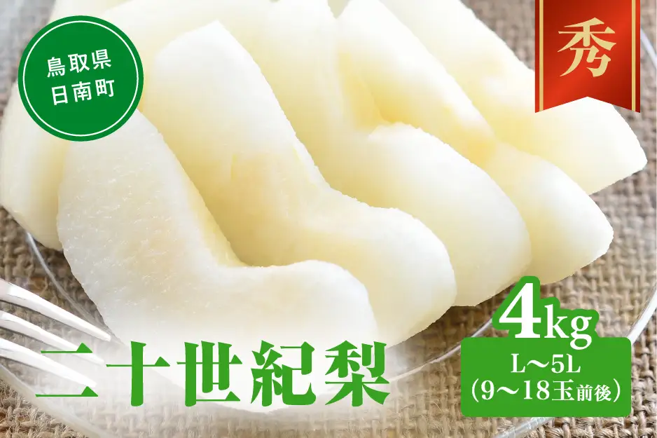 【令和9年産先行予約】二十世紀梨 秀 4kg L～5L (9～18玉前後) 梨 なし フルーツ 鳥取 高間商店