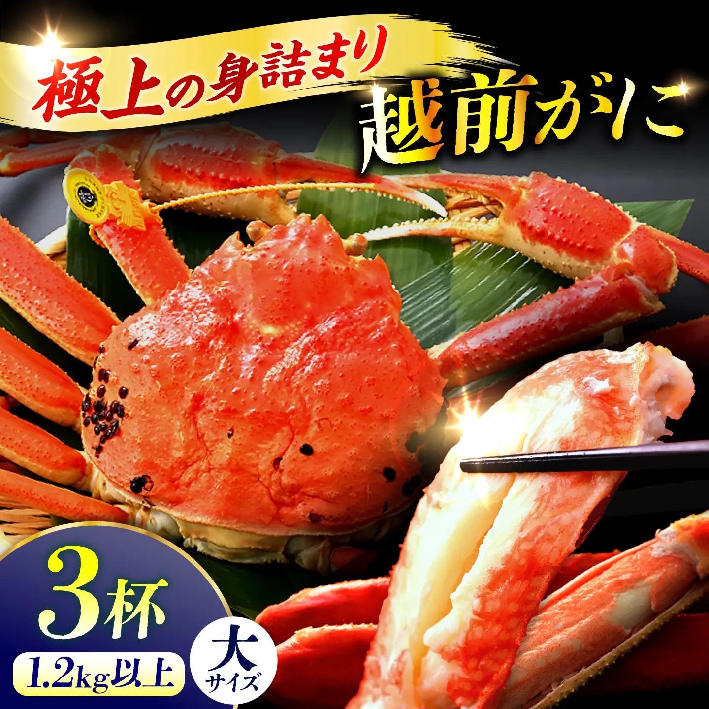 【先行予約/11月7日より順次発送予定】【冷蔵】「若狭小浜港産地直送」 越前がに (ズワイガニ) ボイル 大 3杯[BFBC022]【配送不可地域：北海道・沖縄・離島】