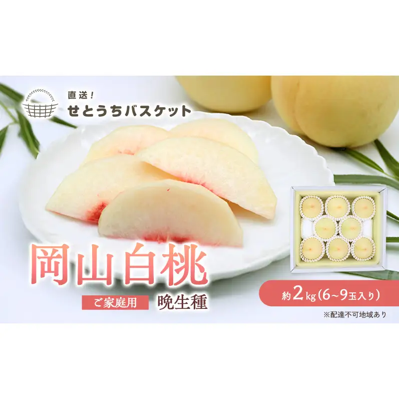 桃 2027年 先行予約 岡山 白桃（晩生種）ご家庭用 約2kg 6～9玉入り もも モモ 岡山県産 国産 フルーツ 果物 直送！せとうちバスケット こだわり 特産品 白い 香り 果汁 シーズン 高糖度