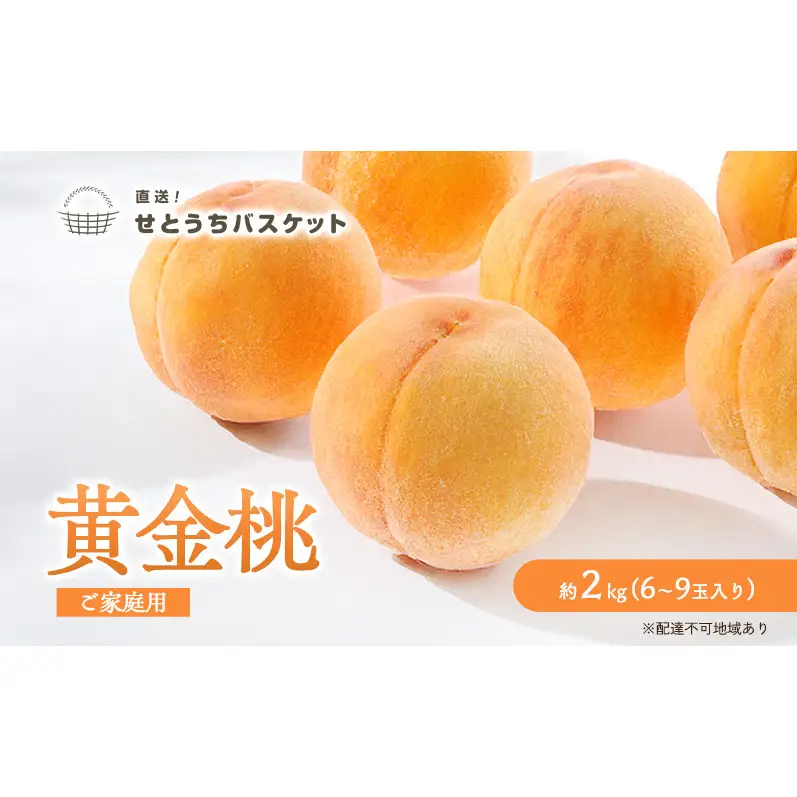桃 2027年 先行予約 岡山 黄金桃 ご家庭用 約2kg 6～9玉入り もも モモ 岡山県産 国産 フルーツ 果物 直送！せとうちバスケット スイーツ こだわり 特産品 白い 香り 果汁 シーズン 濃厚
