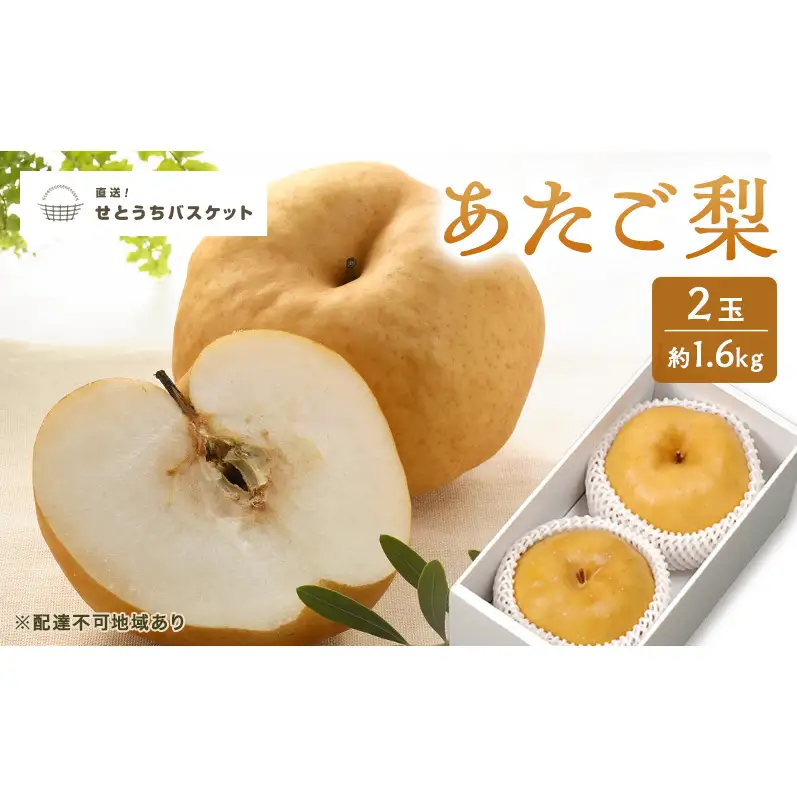 梨 2027年 先行予約 あたご梨 2玉 約1.6kg ナシ なし 岡山県産 国産 フルーツ 果物 直送！せとうちバスケット