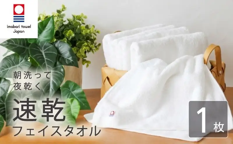【今治タオル】フェイスタオル 速乾 1枚 ホワイト