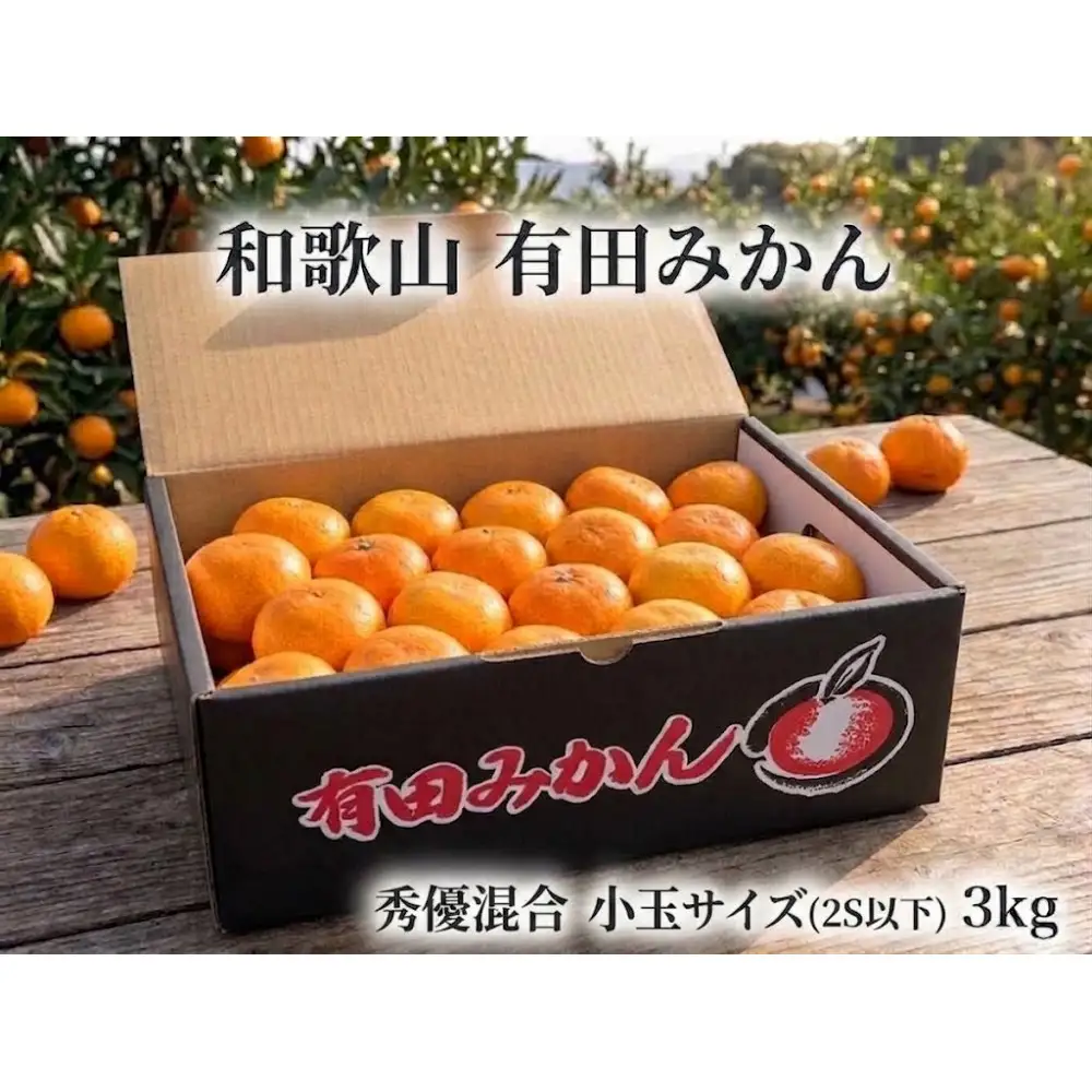 ［小玉サイズ（３Ｓ・２Ｓ）・秀／優混合］まる隆果樹園　和歌山有田産！早生みかん≪3kg≫［予約販売］