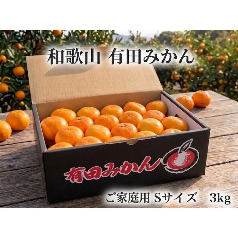 ［ご家庭用・サイズＳ］和歌山有田産！早生みかん≪3kg≫［予約販売］まる隆果樹園　