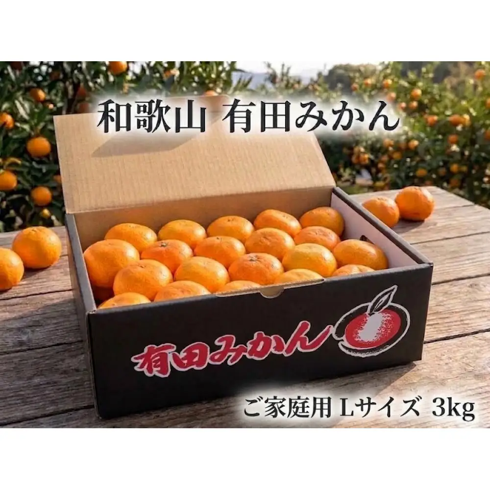［ご家庭用・サイズＬ］和歌山有田産！早生みかん≪3kg≫［予約販売］まる隆果樹園