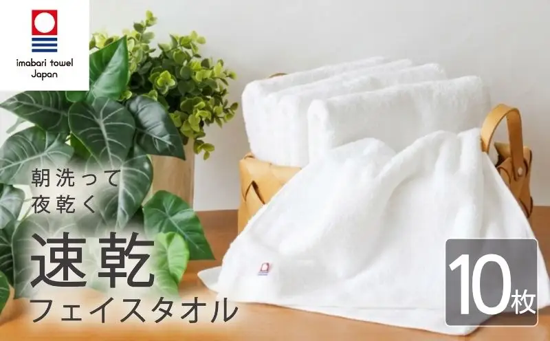 【今治タオル】フェイスタオル 速乾 10枚 ホワイト