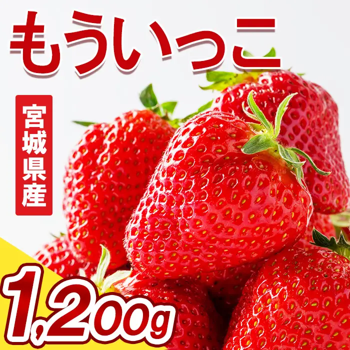 ≪先行予約受付中！≫宮城県登米市産いちご もういっこ 1.2kg（4パック） フルーツ 果物 果実 デザート くだもの いちご イチゴ 苺 ストロベリー 甘い パック 【いちごファームやなぎぶち】tm702