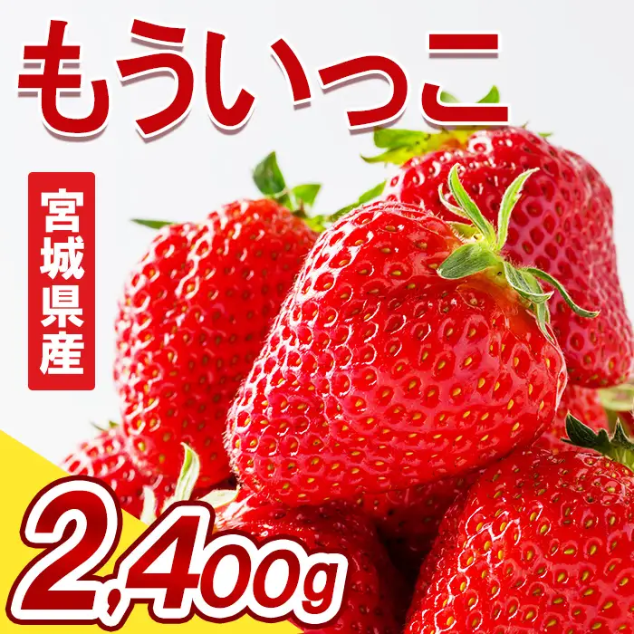 ≪先行予約受付中！≫宮城県登米市産いちご もういっこ 2.4kg（8パック） フルーツ 果物 果実 デザート くだもの いちご イチゴ 苺 ストロベリー 甘い パック 【いちごファームやなぎぶち】tm703