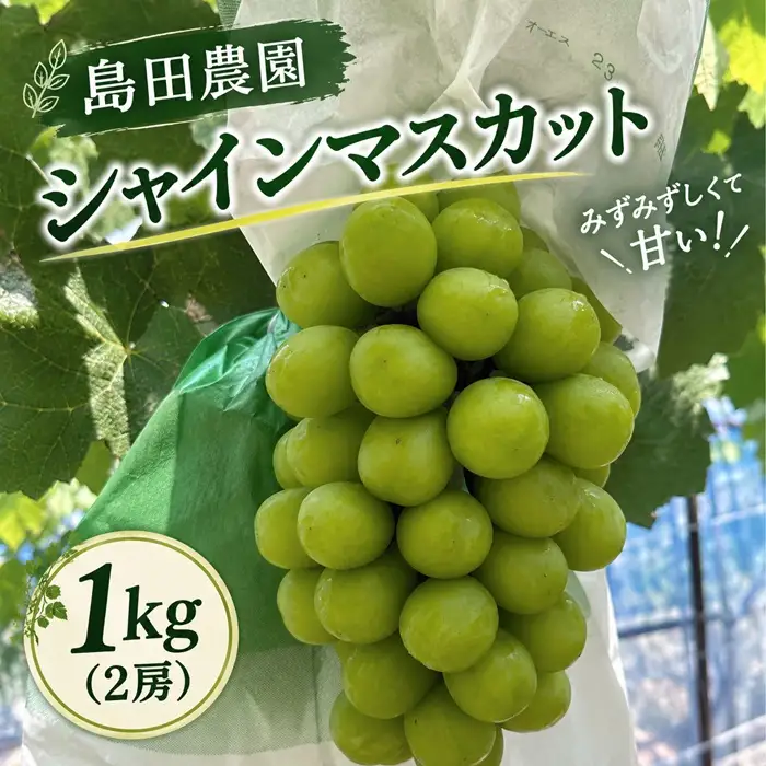 島田農園　シャインマスカット約1kg（2房入り）【令和9年8月下旬頃発送！予約受付中】【A-161】