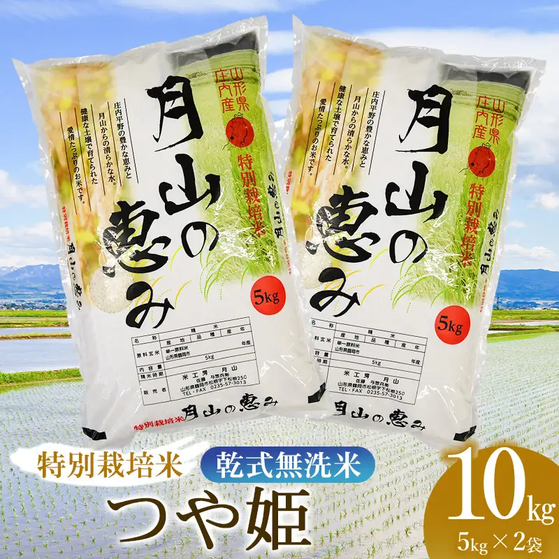 【令和8年産 新米】 特別栽培米 つや姫 乾式無洗米 10kg (5kg×2袋) 山形県鶴岡市産 米工房 月山