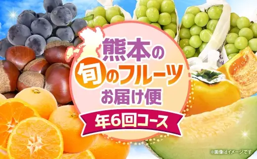 【 6ヶ月連続定期便 】 熊本の旬のフルーツお届け便 （ 7月上旬?12月下旬 ・ 年6回コース ） 果物 フルーツ ピオーネ シャインマスカット 栗 太秋柿 みかん デリシャス 塩アールスメロン 果実 果汁 果肉 詰め合わせ 食べ比べ 熊本県産 国産 定期配送 定期 【 2027年7月より発送開始 】