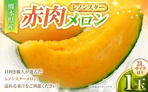 赤肉メロンレノンスター （ 1玉 ） メロン 果物 フルーツ 果実 果汁 果肉 甘み ケーキ ゼリー ジュース フルーツサンド 熊本県産 国産 【 2027年4月下旬から5月下旬発送予定 】
