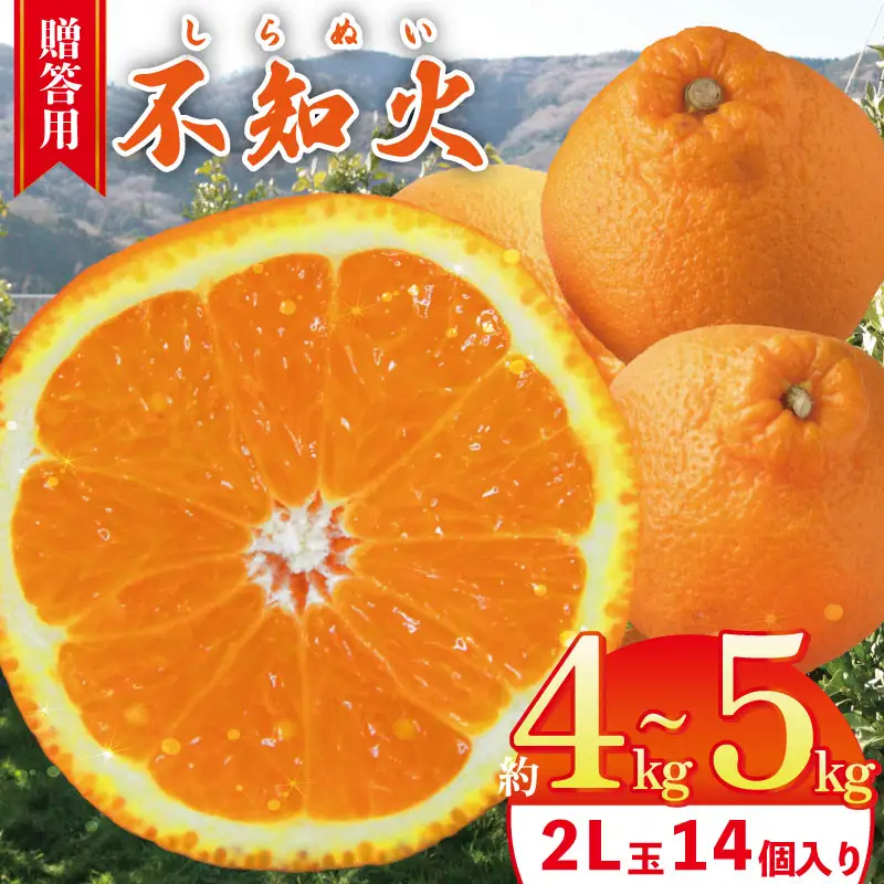 【不知火】 約 4kg から 5kg（2L玉14個 ) 不知火 みかん しらぬい