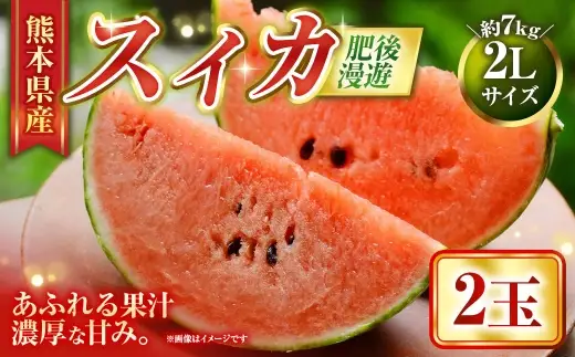 スイカ 肥後漫遊 （ 2玉 ） 2Lサイズ 果物 フルーツ 果実 果汁 果肉 甘み 贈り物 プレゼント 贈答用 熊本県産 国産 【 2027年5月上旬から7月下旬発送予定 】