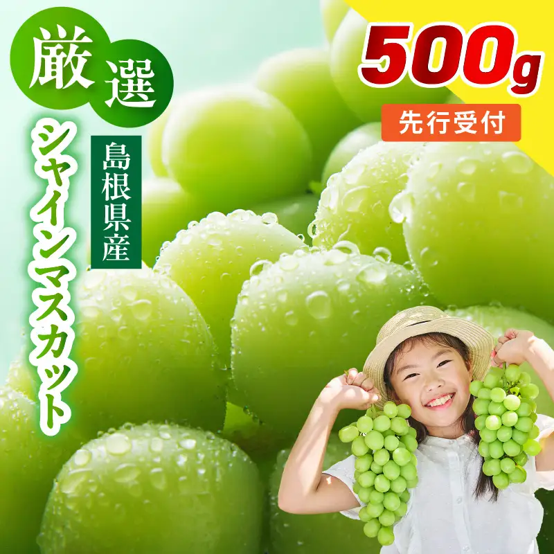 【先行予約】【数量限定】島根県産 シャインマスカット 500g 【215_0005】