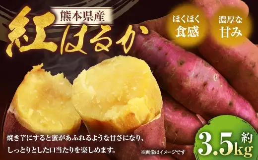 紅はるか 約3.5kg サツマイモ 焼き芋 芋 野菜 濃厚 甘み 料理 天ぷら スイートポテト ふかし芋 大学芋 芋けんぴ 食物繊維 糖度 熊本県産 国産