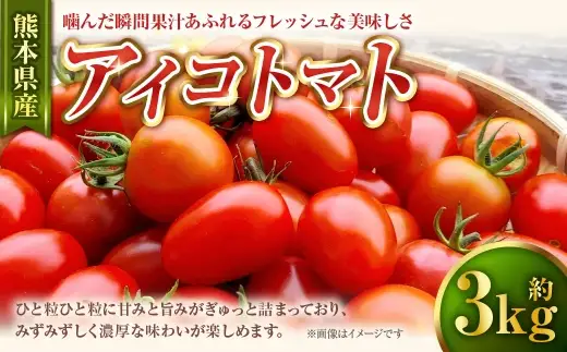 アイコトマト 約3kg トマト 野菜 ミニトマト サラダ お弁当 濃厚 フレッシュ みずみずしい 熊本県産 国産