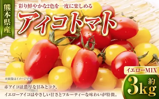 アイコトマト （ イエローMIX ） 約3kg トマト 野菜 ミックス ミニトマト 濃厚 甘み コク フルーティー 果肉 彩り サラダ お弁当 パーティー料理 熊本県産 国産