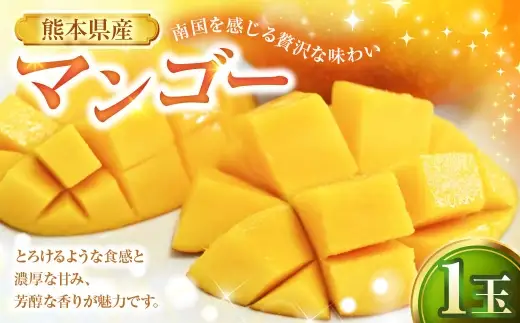 マンゴー 1玉 果物 フルーツ 果実 果汁 果肉 贅沢 ジューシー 南国 プリン ケーキ スムージー 贈り物 プレゼント 贈答用 熊本県産 国産 冷蔵 【 2027年6月下旬から7月上旬発送予定 】