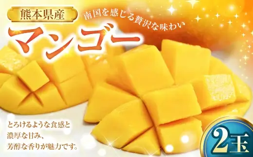マンゴー 2玉 果物 フルーツ 果実 果汁 果肉 贅沢 ジューシー 南国 プリン ケーキ スムージー 贈り物 プレゼント 贈答用 熊本県産 国産 冷蔵 【 2027年6月下旬から7月上旬発送予定 】