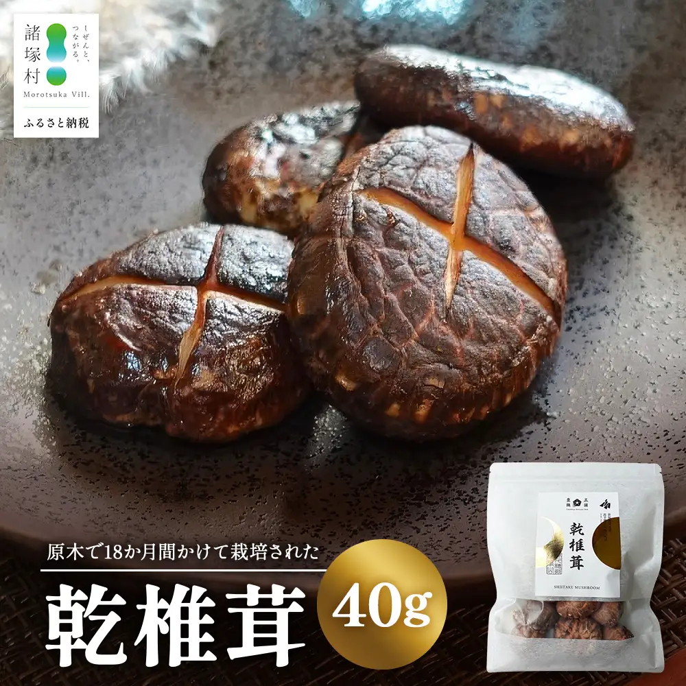 乾椎茸 40g×1P｜乾燥椎茸 椎茸 しいたけ 干ししいたけ 原木椎茸 きのこ 山菜  希少 どんこ 肉厚 高級 常温 お試し パック 一般社団法人ツーリズム高千穂郷 宮崎県 諸塚村 TR-03