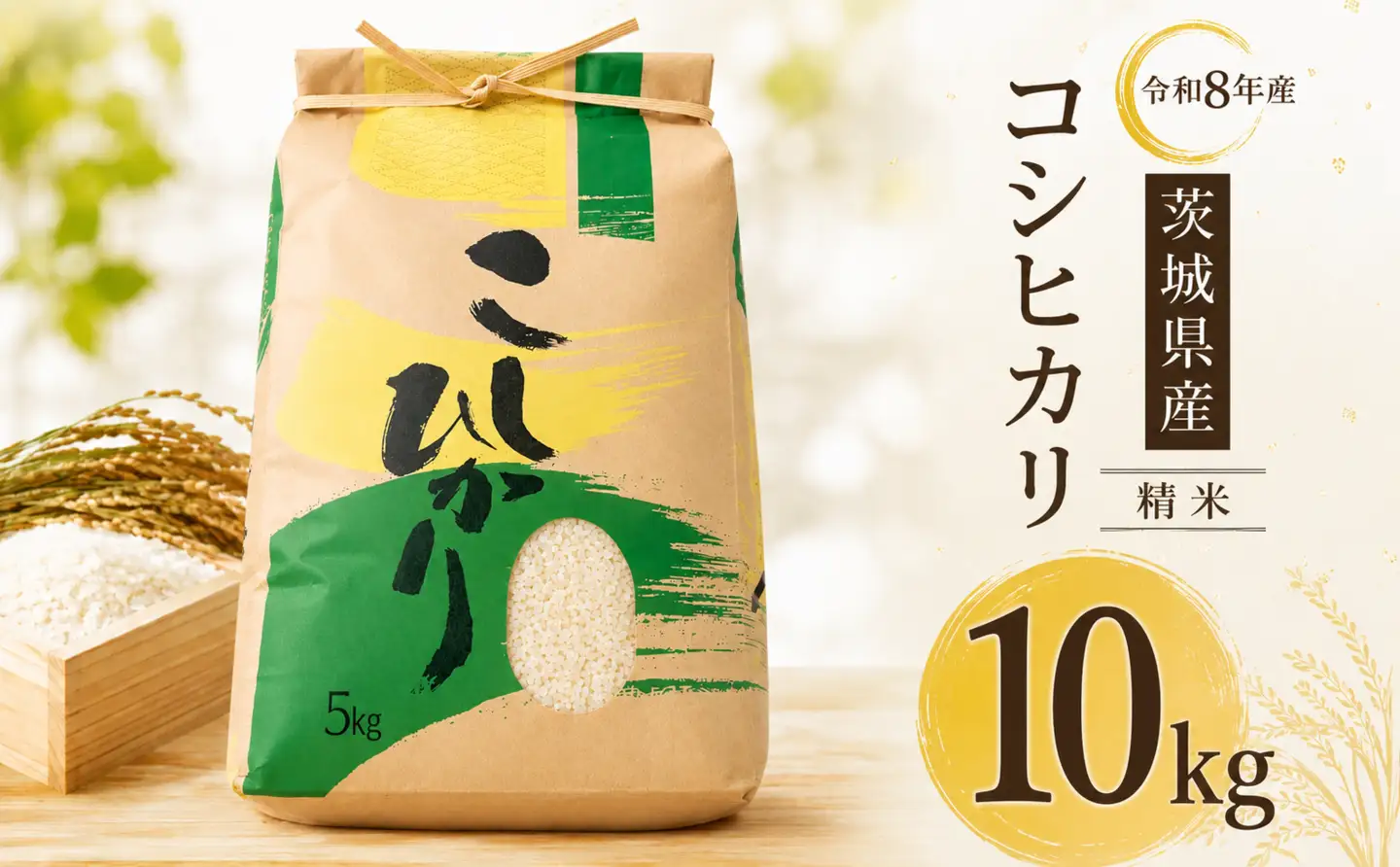 新米 コシヒカリ 10kg ( 5kg × 2袋 ) 10キロ 令和8年産 