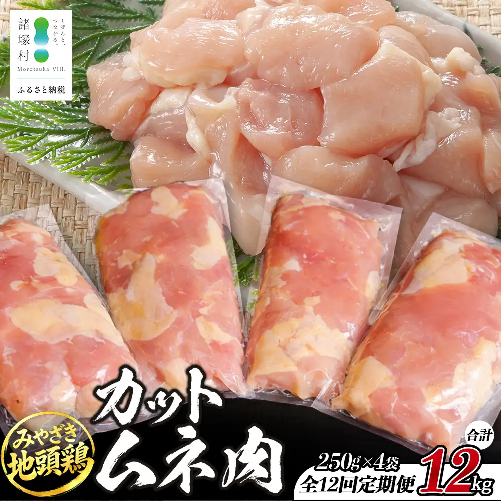 【定期便全12回】みやざき地頭鶏 カットムネ肉 250g×4P×12回 冷凍｜家庭応援 鶏肉 地鶏 ムネ肉 カット肉 唐揚げ 焼き鳥 チキン南蛮 じとっこ 真空パック 小分け カット済み 定期便 12ヶ月 1年 毎月 連続 家事応援 家庭用 興洋開発株式会社 宮崎県 諸塚村 KY-37