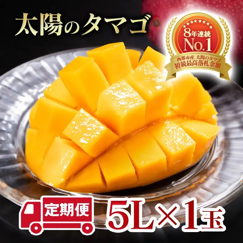 【２カ月定期便】先行予約　最高級ブランド『太陽のタマゴ』5L×1個×2回【糖度15度以上】宮崎県西都市産完熟マンゴー＜68-8b＞宮崎マンゴー 果物 フルーツ 甘い