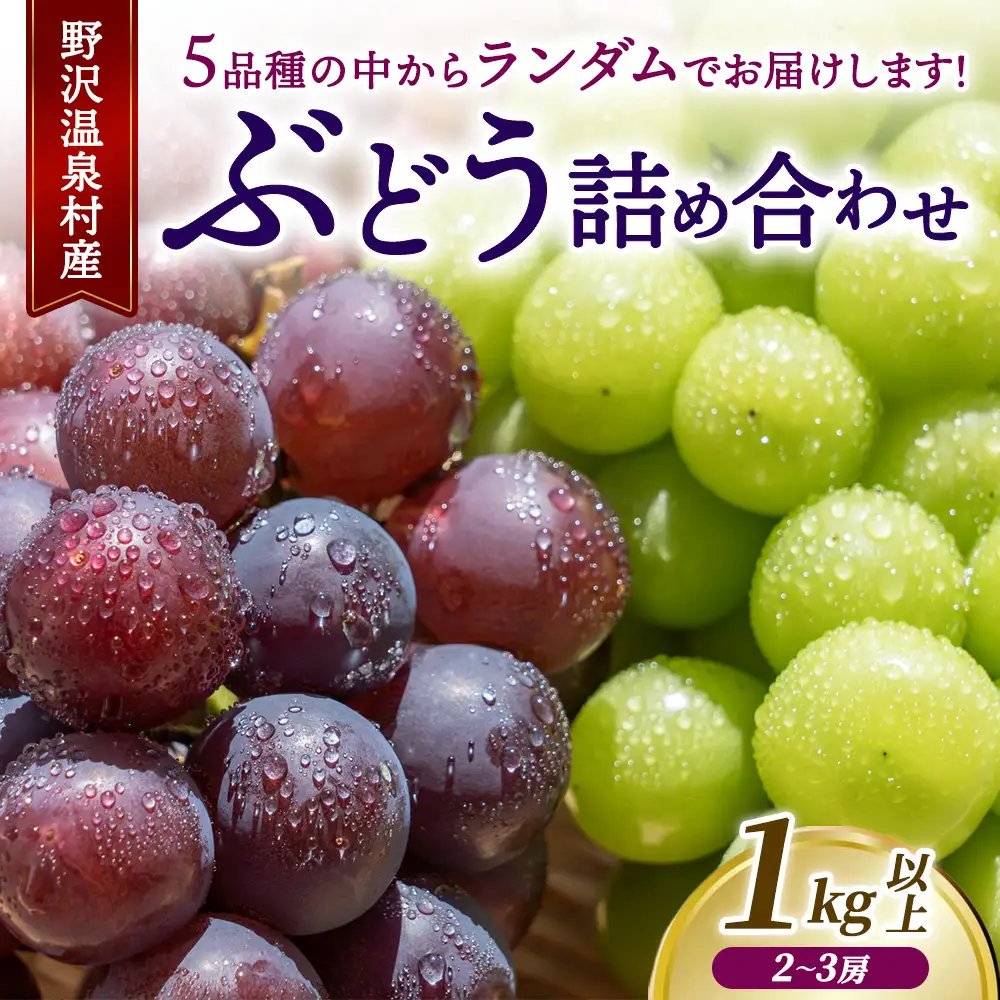 ぶどうの詰め合わせ　1kg以上　[5品種の中からランダム]　G-1 | Gr-1｜※2026年10月～発送