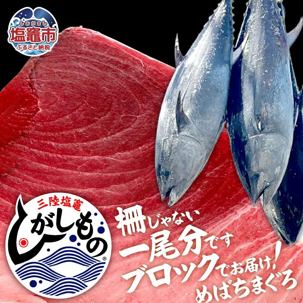 〈冷蔵〉三陸塩竈ひがしもの 一尾分 ブロック 生メバチマグロ 天然 まぐろ 宮城県 塩竈市