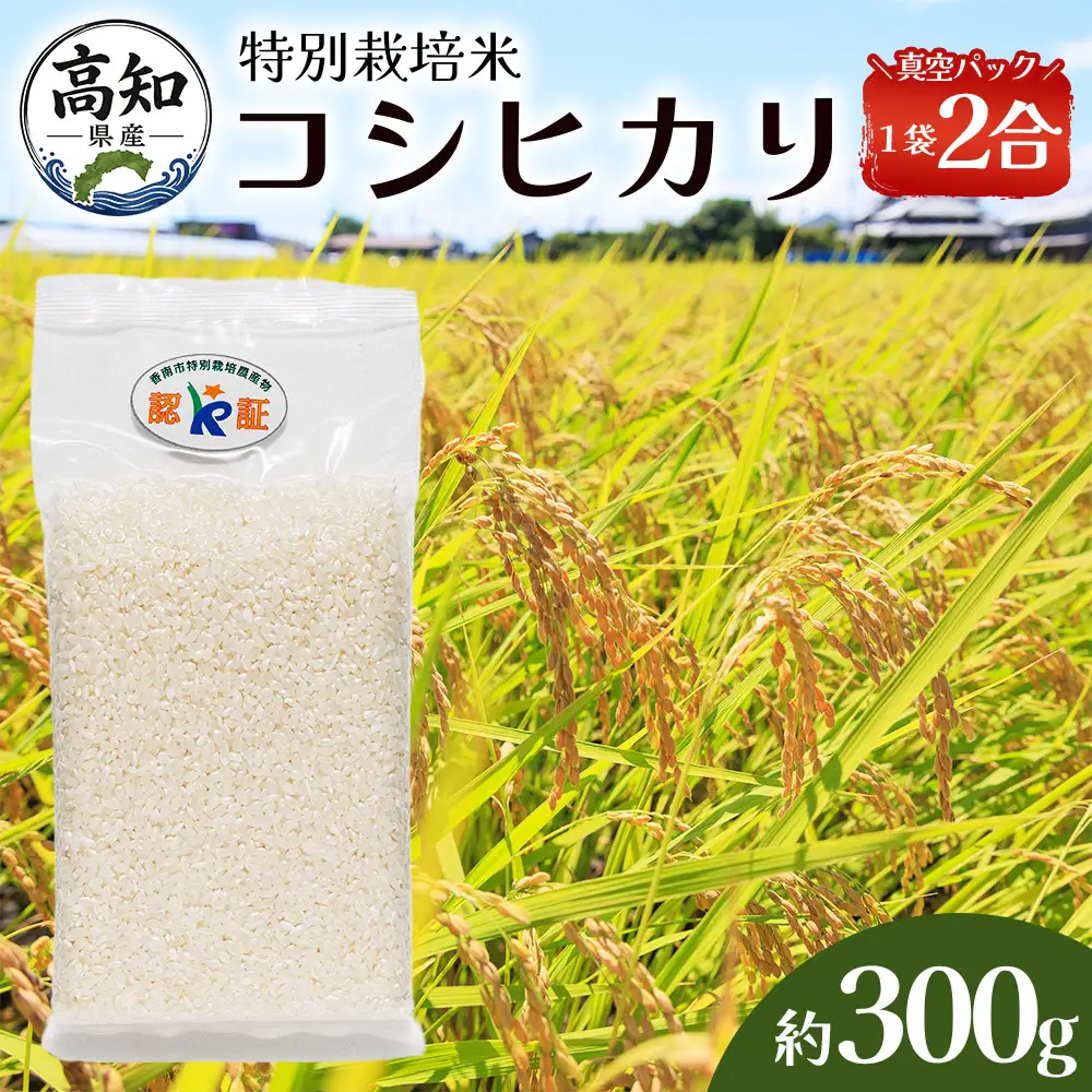 【令和８年度産】 米（コシヒカリ） 2合（300g) ×4 真空パック 小分け ke-0061