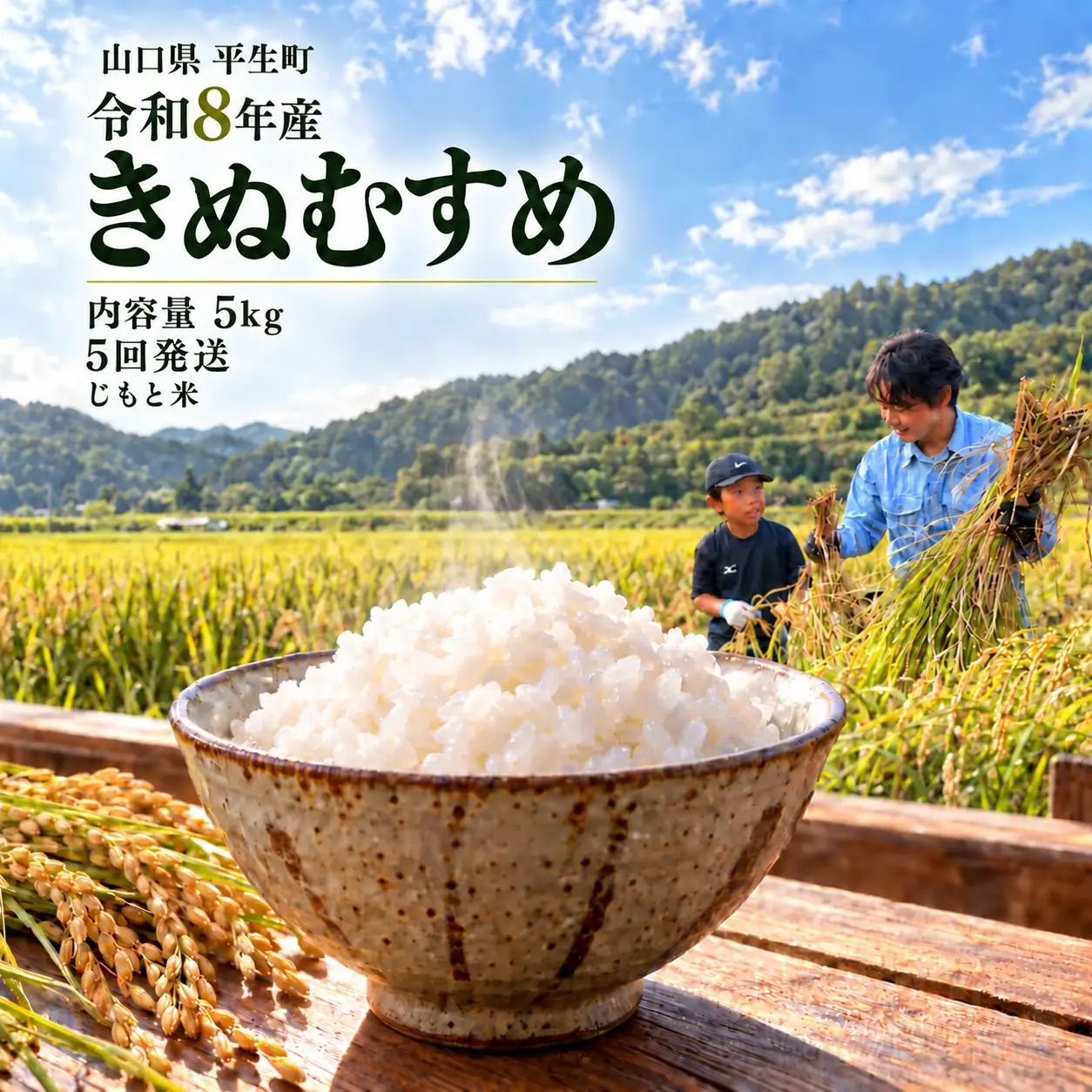 令和8年度産 山口県産 きぬむすめ 5㎏ 定期便 5回発送