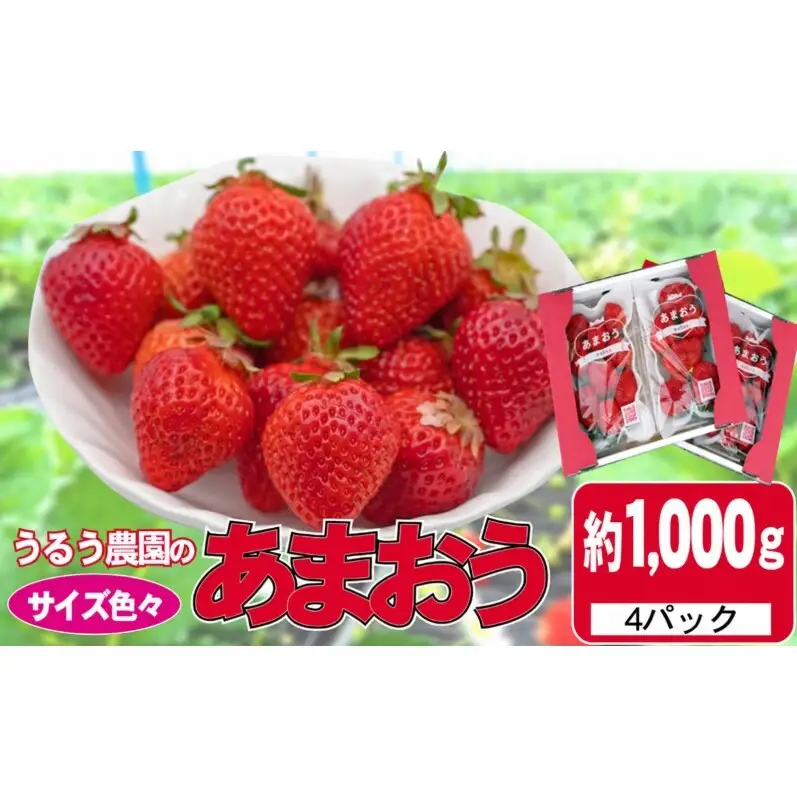うるう農園のあまおう サイズ色々 4パック 約1kg（約250g×4）