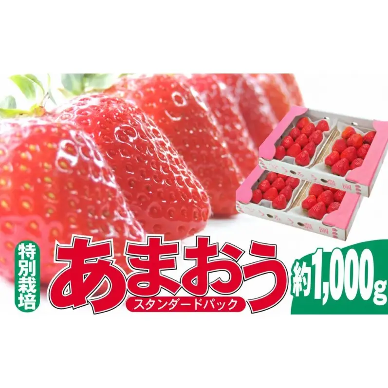 うるう農園のあまおう スタンダード 4パック 約1kg（約250g×4）